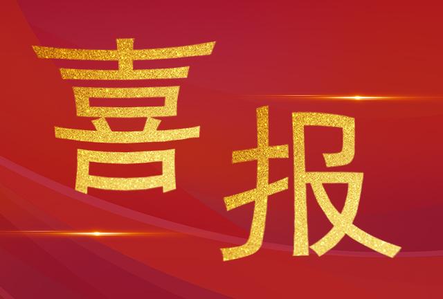 喜報|我司技術(shù)服務(wù)部工程師們榮獲“電力運檢之星“